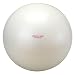 ALINCO(�A���C���R) �G�N�T�T�C�Y�{�[�� 65cm EXG025