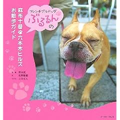 �t�����`�u���h�b�O�Ԃ���̖��z�\�ԁE�Z�{�؃q���Y���U���K�C�h