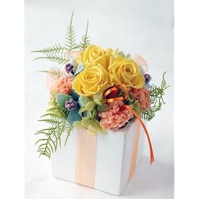 �t���f�R �v���U�[�u�h�t�����[�y���A���[�z�C�G���[�I