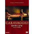 �J�����@�b�W�I �yHD�}�X�^�[�z DVD