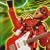 �X�[�p�[�E�q�[���[�Y~ADVENTURE OF RACER X-MEN
