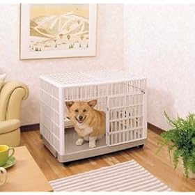 �A�C���X�I�[���} �v���P�[�W 810 �x�[�W��