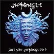 Are You Shpongled