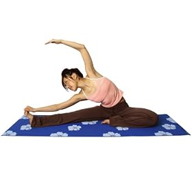 WAI LANA(���C���i) �n�C�r�X�J�X ���K���s���e�B�X�}�b�g 306 �u���[