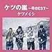 �P�c�̗�~�~BEST~�y���匔�����z(�ʏ��)