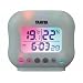 TANITA �f�W�^�������x�v �z���C�g TT-532-WH