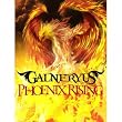 PHOENIX RISING(��������)(DVD�t)