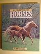 World of Horses (All Colour Books S.)