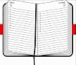 Moleskine Large Diary Daily 2006