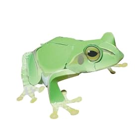 �����ł���J�G�� �j�z���A�}�K�G��