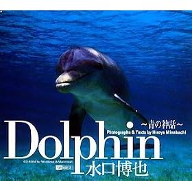 Dolphin ~�̐_�b~ ��������