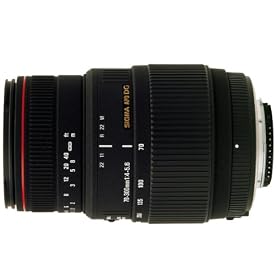 �V�O�} 70-300mm F4-5.6 APO DG MACRO �L���m���p