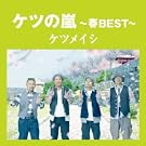 �P�c�̗�~�tBEST~�y���匔�����z(�ʏ��)