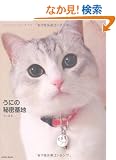 ���ɂ̔閧��n (AmebaBooks�\�X�^�[Pet�V���[�Y)
