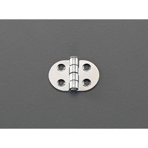 【クリックでお店のこの商品のページへ】ESCO 45x30mmステンレス製丸型ヒンジ(2個) EA951CX-101