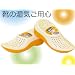 �G�R�V���[�Y�h���C���[