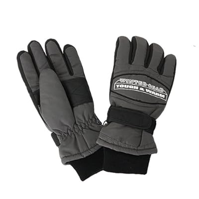 WINTER GEAR(ウィンターギア)メンズ5本指グローブ SP-200 GRAY(グレー)