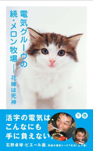  電気グルーヴの続・メロン牧場−花嫁は死神 下