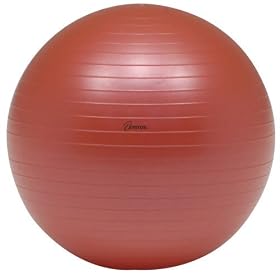 XYSTUS(�W�X�^�X) �{�f�B�[�{�[�� 55cm B-6160