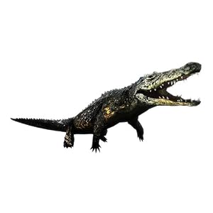 TOKYO JUNGLE (トーキョージャングル) (初回生産分限定封入特典「ポメラニアン2色セット(ホワイト・ブラック)」同梱) 特典 Amazon.co.jpオリジナル 「超肉食の猛者"クロコダイル"」がダウンロードできるプロダクトコード付き