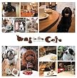 Dog in the cafe 2008�N�J�����_�[