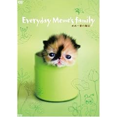 �߂߈�Ƃ̖��� [DVD]