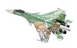 1/72 ��s�@�V���[�Y Su-33 �t�����J�[D �u�A�C�h���}�X�^�[ �������v