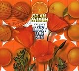 [CD]Brian Wilson That Lucky Old Sun
