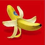 [CD]MONKEY MAJIK TIME(限定生産盤)(DVD[LIVE]付)
