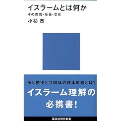 �C�X���[���Ƃ͉��� (�u�k�Ќ���V��)
