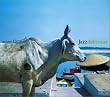 Inner Resort ~Jazz delicious