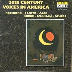 20th Century Voices in America
