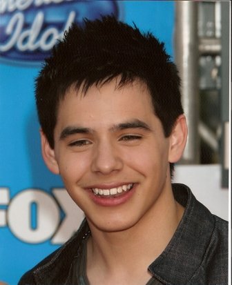  David Archuleta American Idol 16x20 Photo