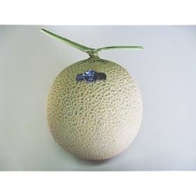 ���ꂪ�N���E���Ɩ��t����ꂽ���E��̐É��}�X�N����������1��A