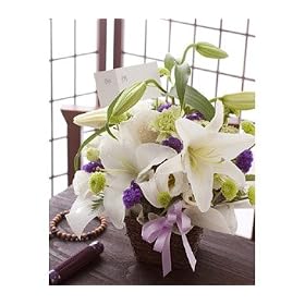�����J������A�����ɏ����A�������A�����W�����g�ł��B�@�������E�@���E�����V�ɁI�������A�����W�i��j�J�T�u�����J���y���������z�y�����z�B���ԉ�����z���߂܂ł̂������͗����z�B�y�z�B���w��s�z