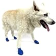 Pawz �|�E�Y�h�b�O�u�[�c 12�Z�b�g M�T�C�Y