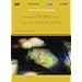 �y���^��(�y���e�B�k�X):�t�B�����u�_���h�������̌��Â��v [DVD]