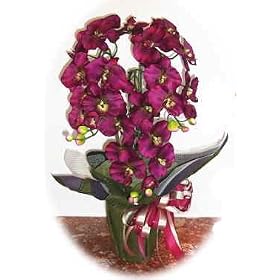 �y�Ӓ����@3�{�����z�V���N�t�����[�@�iCT�G�}���H�j�@�{���h�[