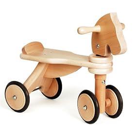 Vehicle ���������z�[�X�v�b�V���o�C�N �i�`������