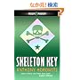 Skeleton Key (Alex Rider)