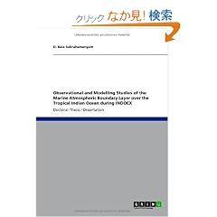 Observational and Modelling Studies of the Marine Atmospheric Boundary Layer over the Tropical Indian Ocean during INDOEX