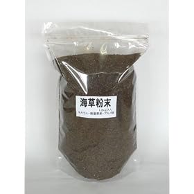 �~�l�����E���ʗv�f�E�A�~�m�_�̉h�{�f�@�C�������i1.2kg�j