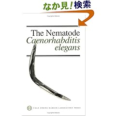 【クリックでお店のこの商品のページへ】The Nematode Caenorhabditis Elegans (The Cold Spring Harbor Monograph Series): William B. Wood: 洋書