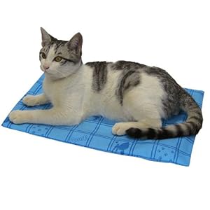 【クリックでお店のこの商品のページへ】ラディック クールアルミジェルマットS