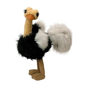 �h�D���K�ʂ������48cm