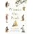 Winnie-the-Pooh (Winnie the Pooh Colour P/Backs)