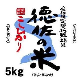 �y�����Ђ���z�R���� ���������Y �Y�n����_��͔|�āu�����̕ăR�V�q�J���v�i5kg�j�y�퉷�z