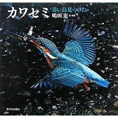�J���Z�~�\���������� (���{�̖쒹)