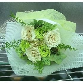 �y�T���N�X�u�[�P�z����₩�O���[���u�[�P�y�v���U�[�u�h�t�����[�z
