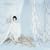 THE BEST�f03~�f09(DVD�t)